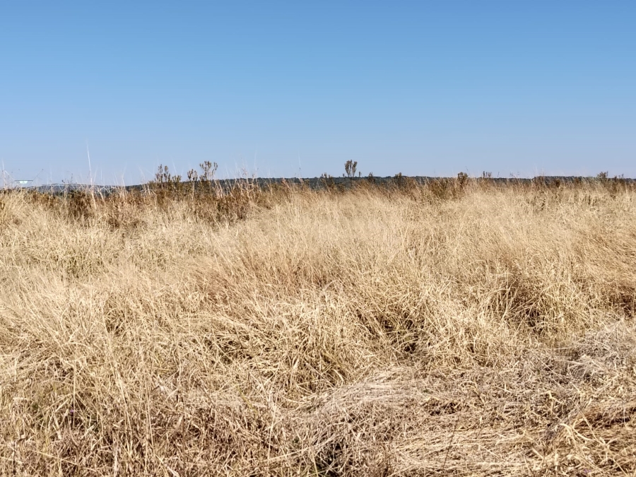Commercial Property for Sale in Swartruggens North West